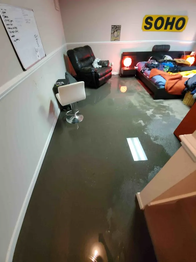 Water Damage Restoration services in Woodland Park, CO