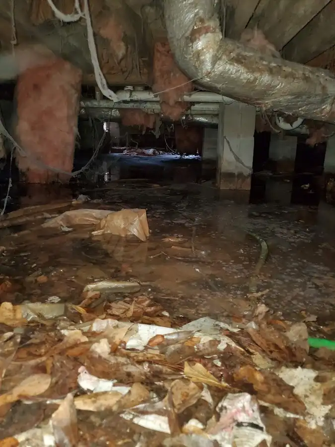 Crawl space flood assessment for Commercial Water Damage Restoration in Woodland Park
