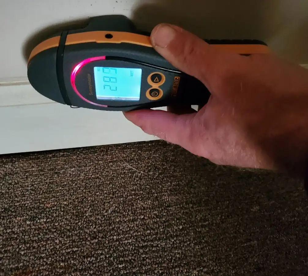 Moisture detection at baseboard during Burst Pipe Cleanup in Woodland Park